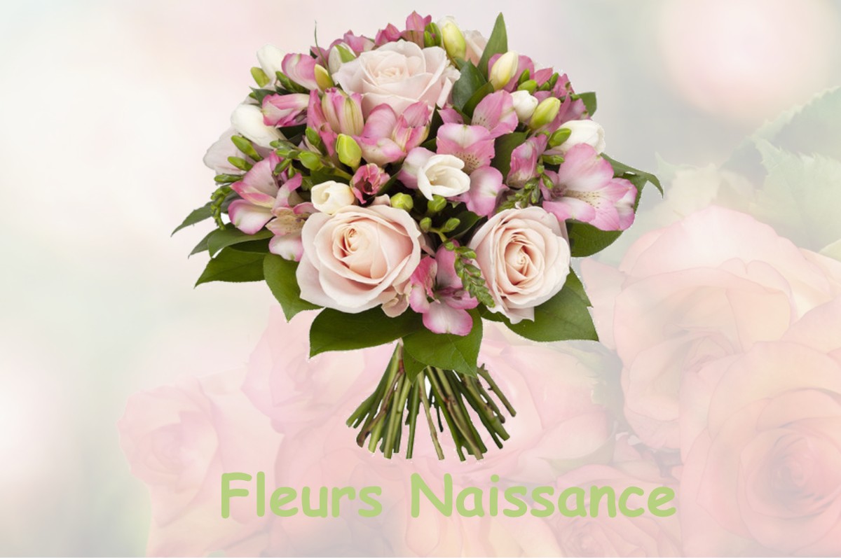 fleurs naissance LA-RIVIERE-SAINT-SAUVEUR